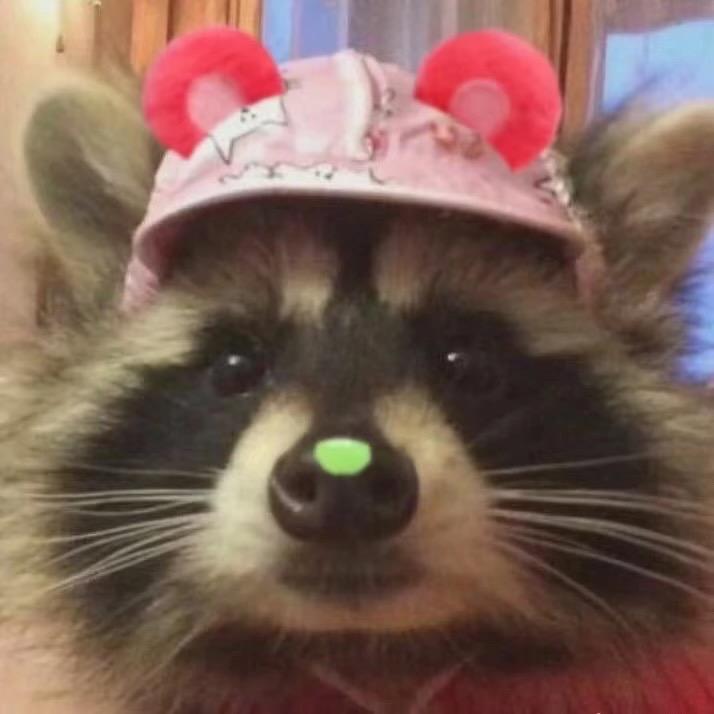 小浣熊在神奈川打工