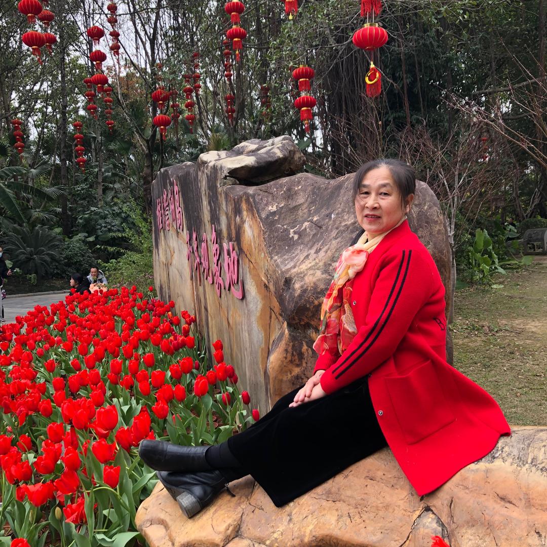 王阿姨《68 年的笨🐒》