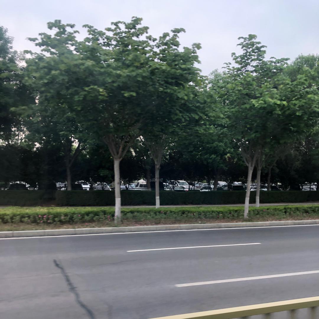 春去秋来