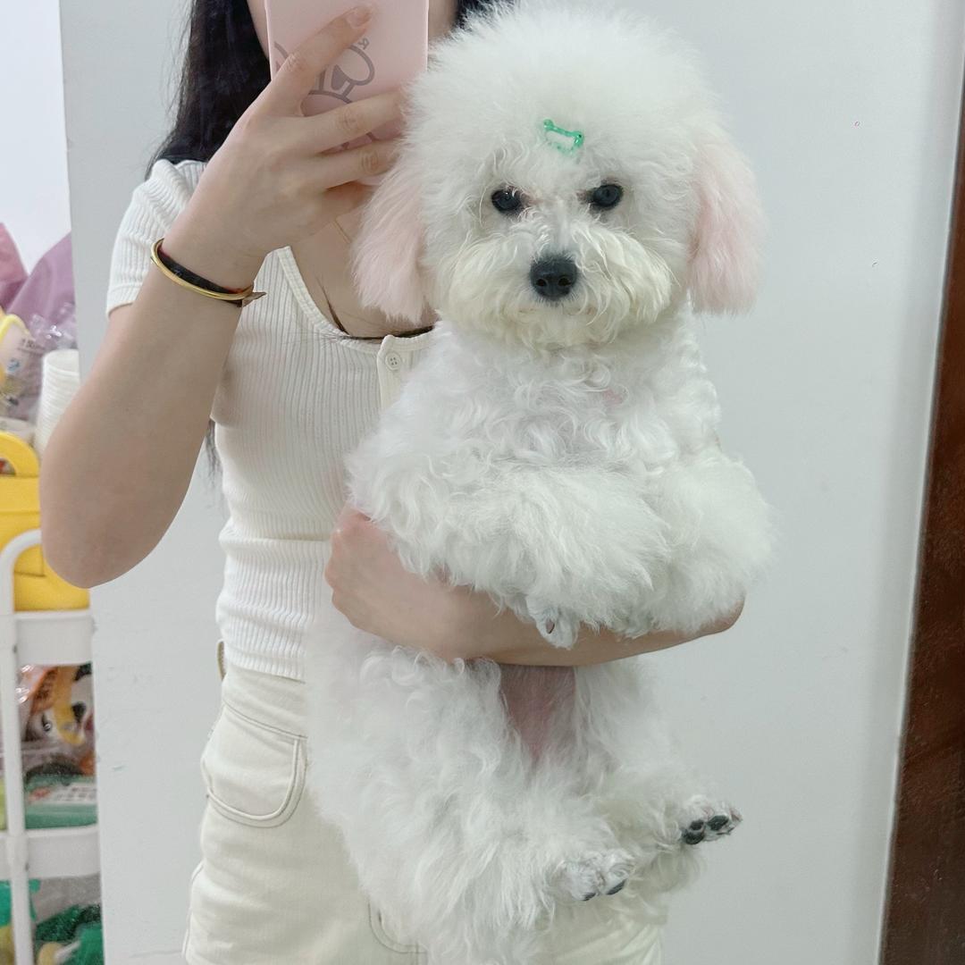 小粽子