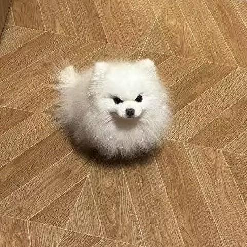 ☁️.