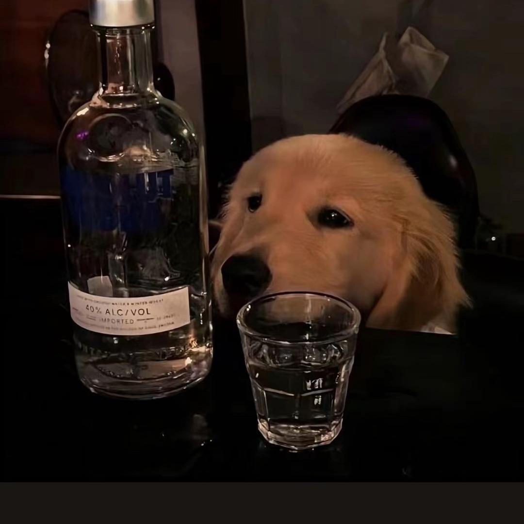 花生了什么树.
