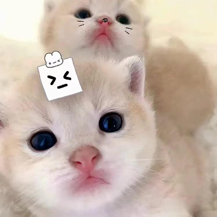 旁觀者.