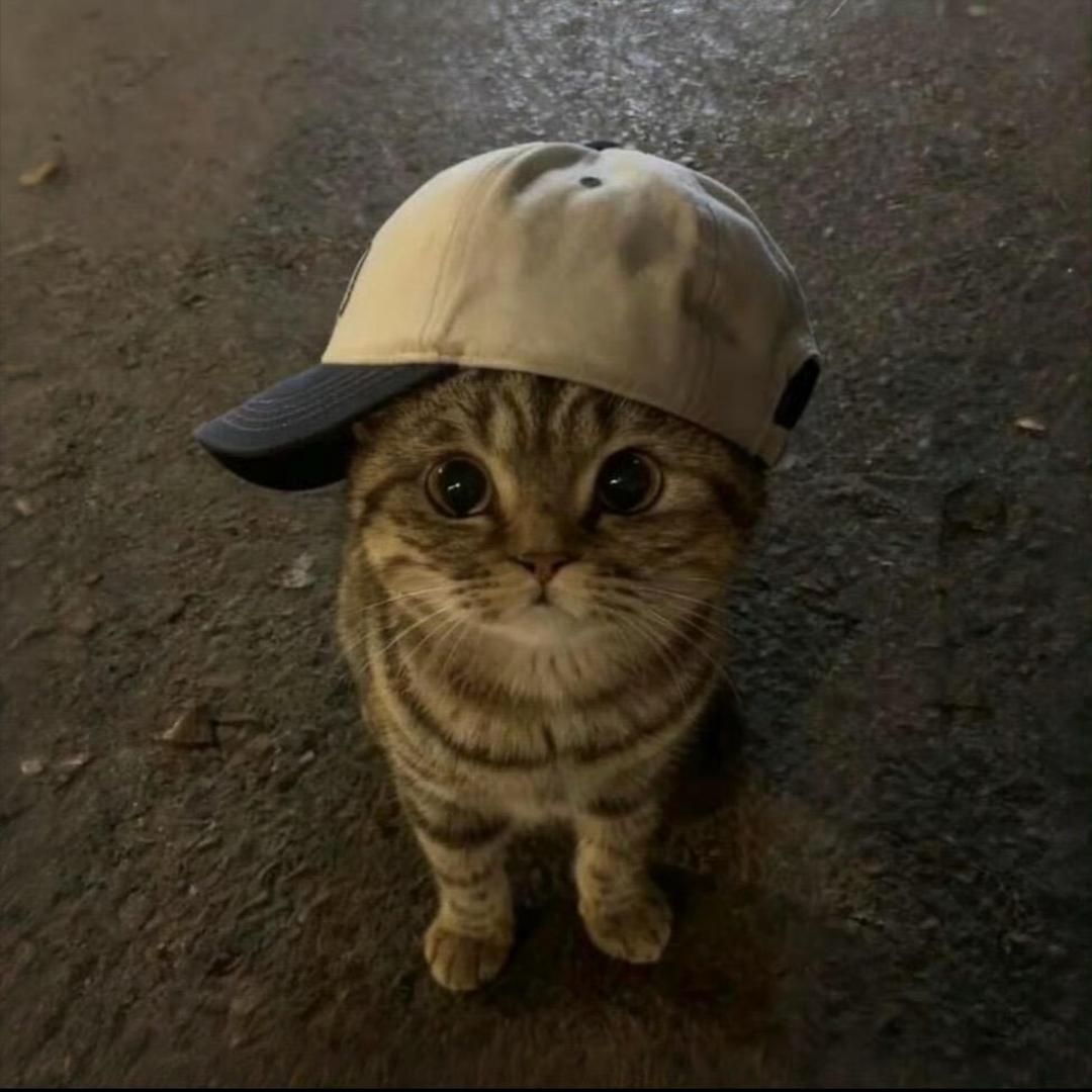 🧃