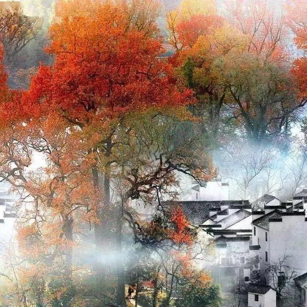 𖧷ɞ͜͡阳光✨微暖໊ഒᩚ࿐