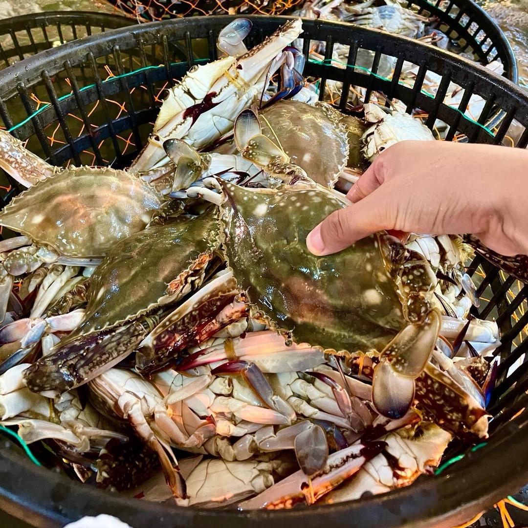 成锋生鲜工厂