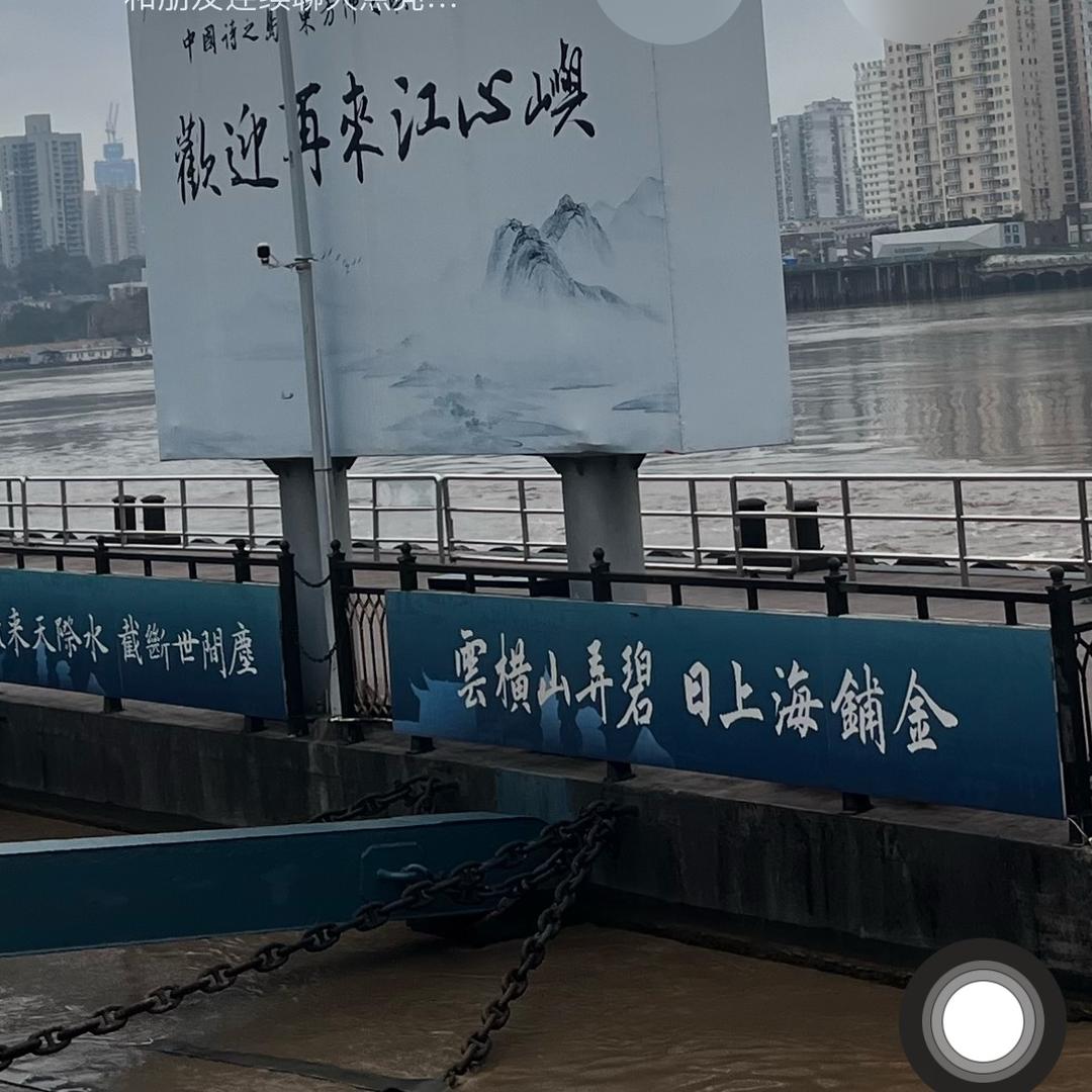 🧧海鸥
