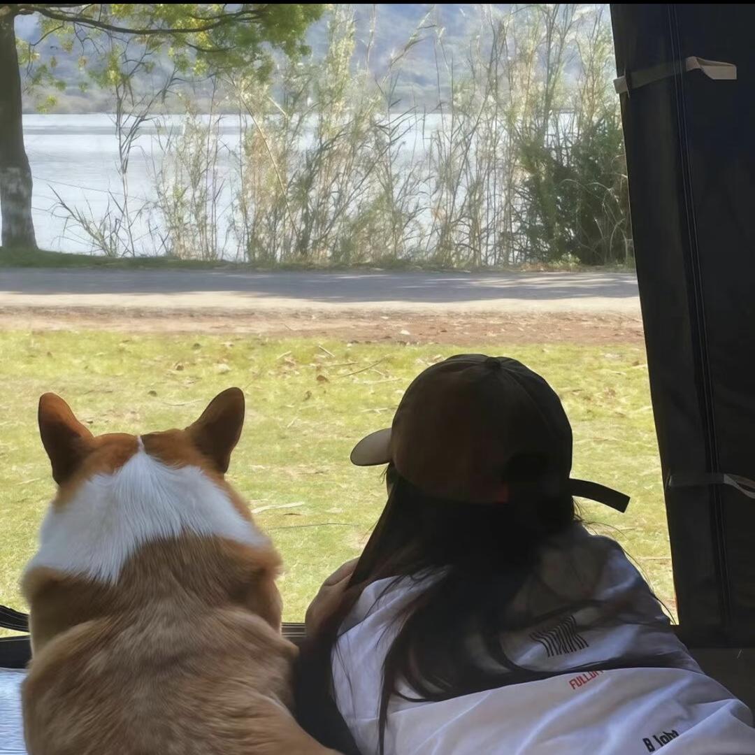 镇宁二十一度果业