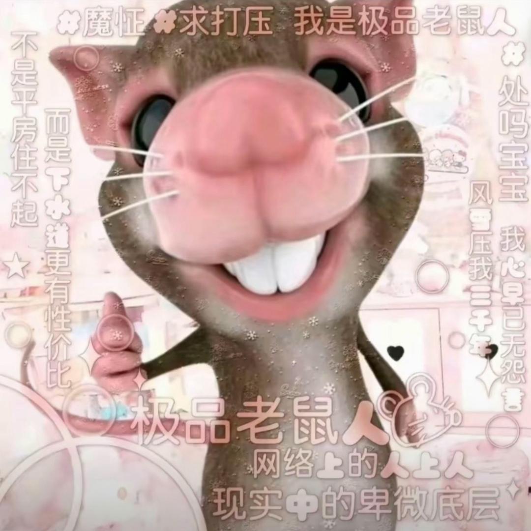 瑞宝