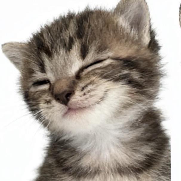 小🐯（无尾版）