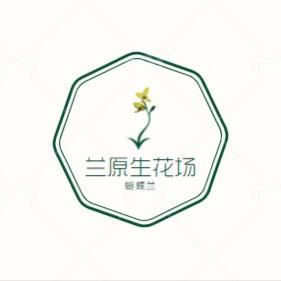 山哥说蝴蝶兰