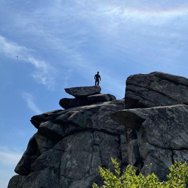 🐸青蛙哥在武汉