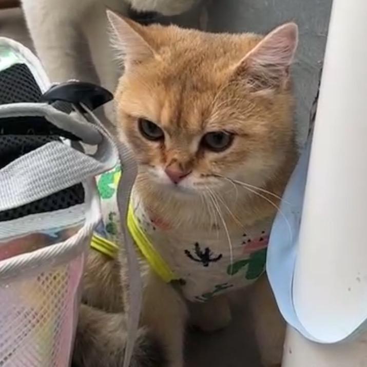 fffff