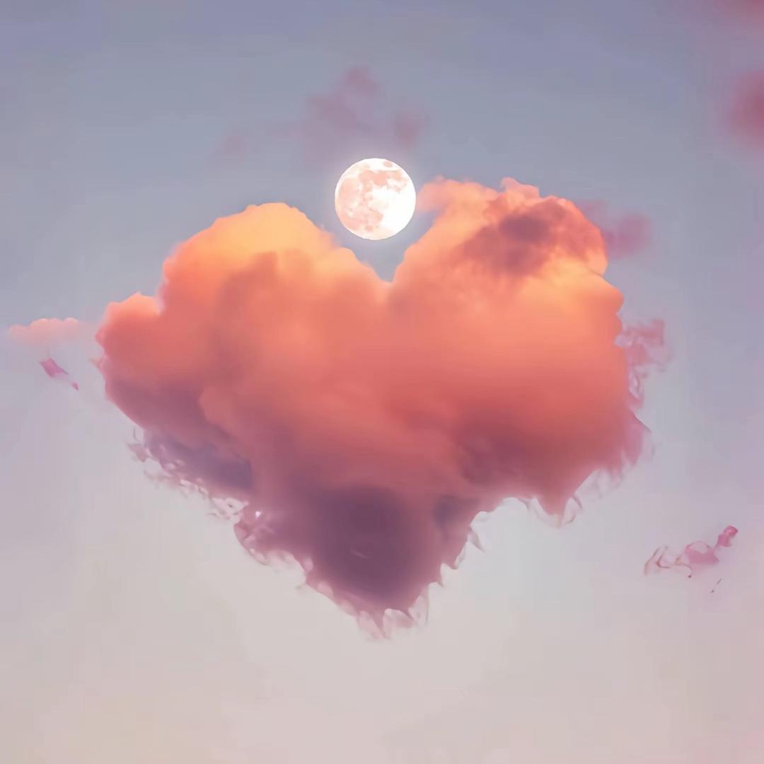 🛍️哆来咪小铺