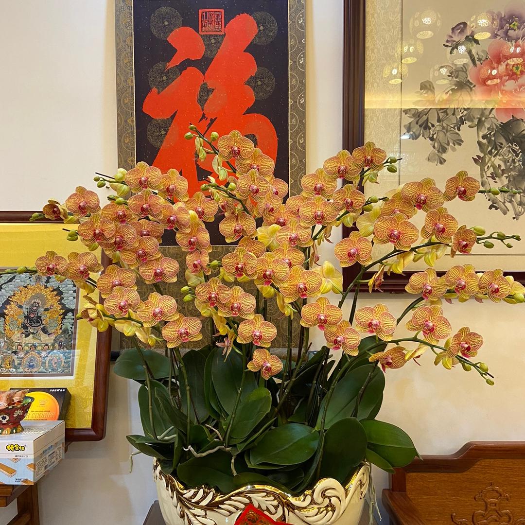 佛山市成达汽车销售有限公司