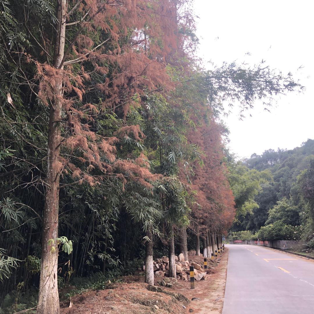 Helen学英语口语