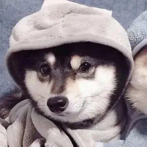 路人...