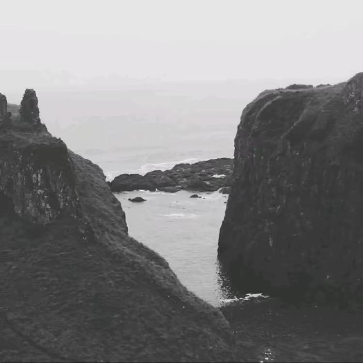 ㅤㅤ   我选择沉默