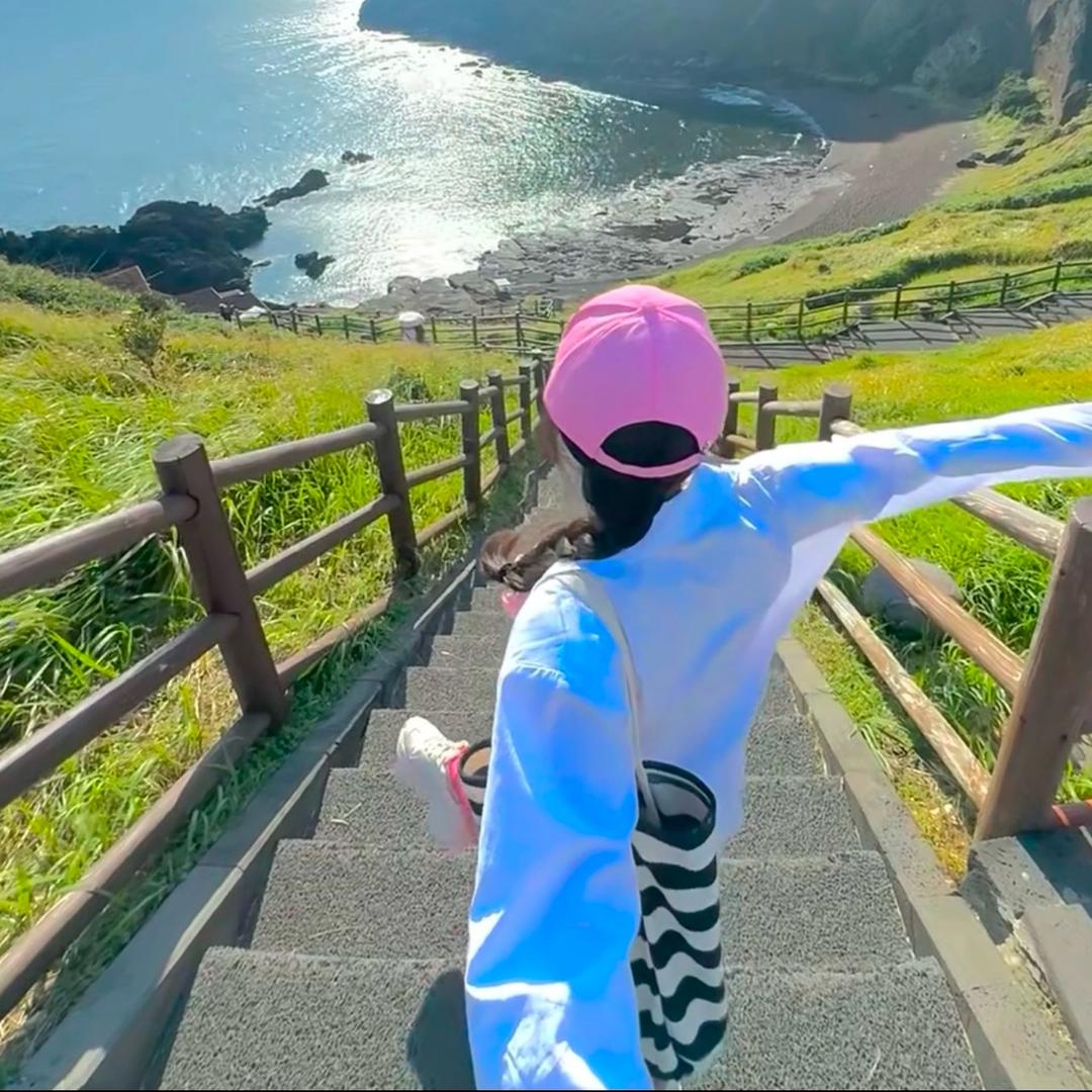 九鸿运营小马