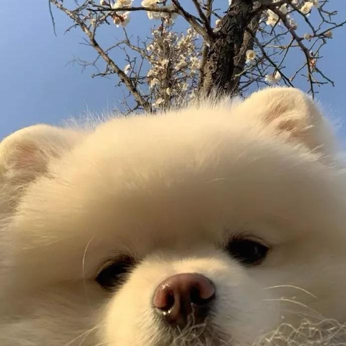 涨粉🔥1000万（关闭会）