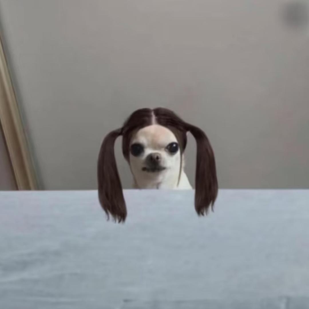 邻座那个怪同学