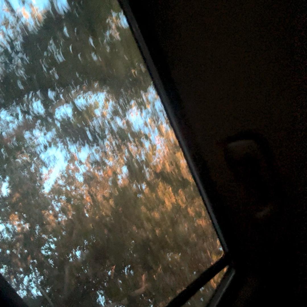 喷火的🐟尾
