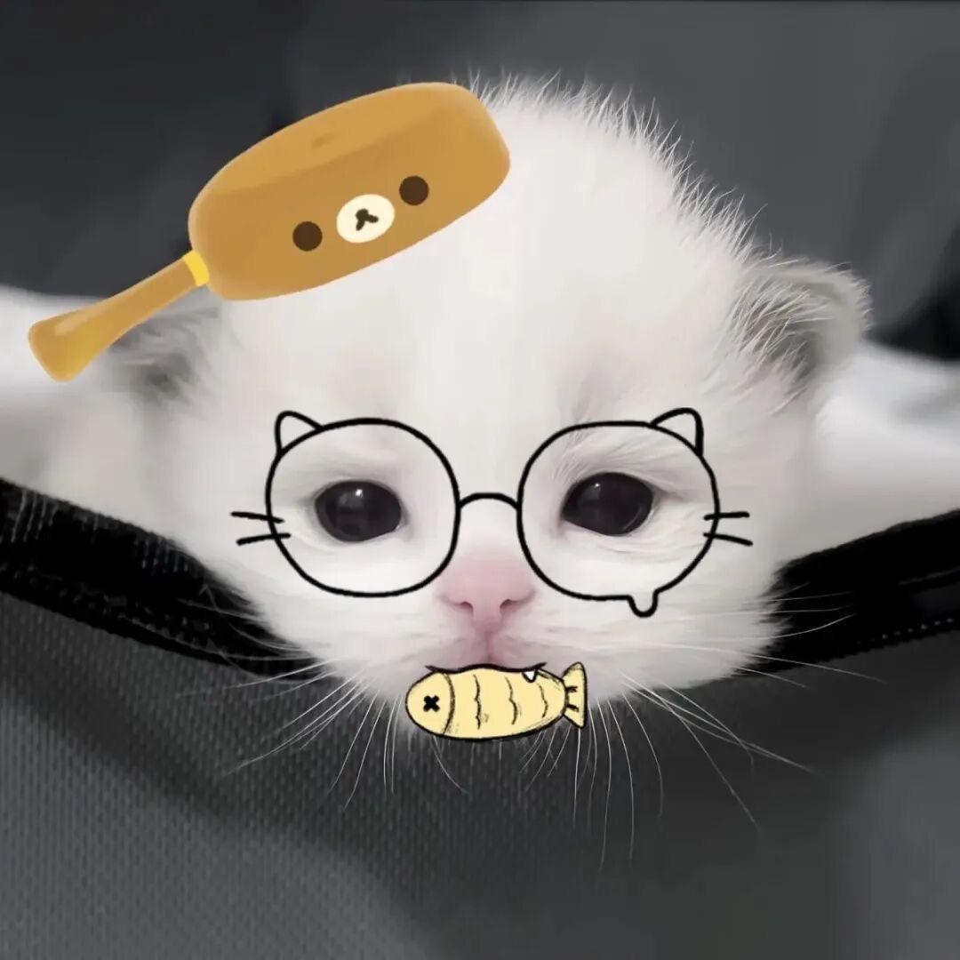 宝宝不 ˃̣̣̥᷄⌓˂̣̣̥᷅开心