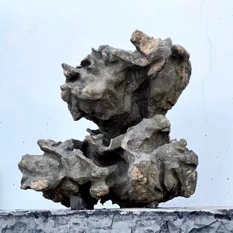 朴雲