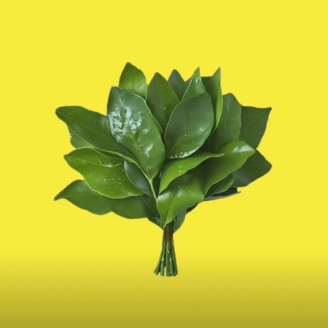 胖胖瑶啊瑶乖乖。🌈