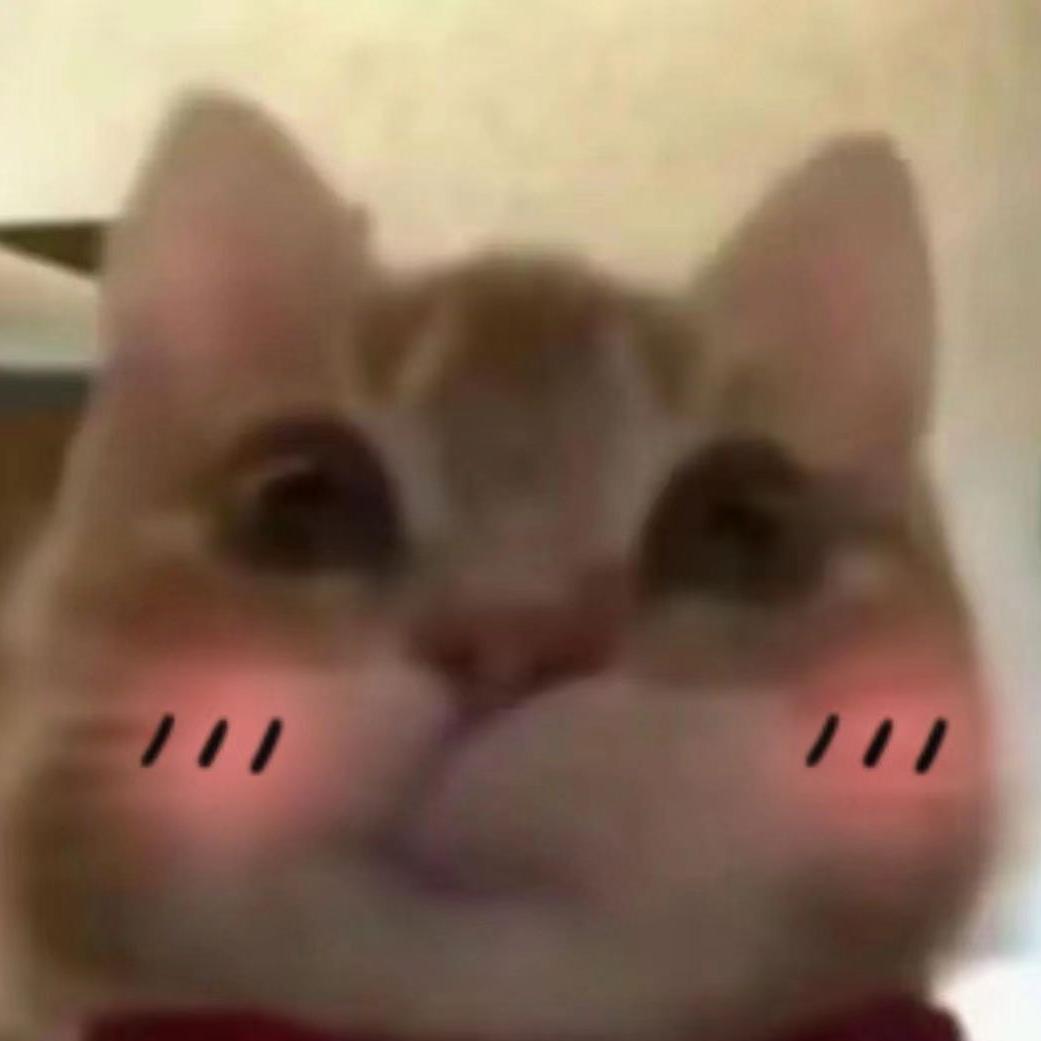 扬扬