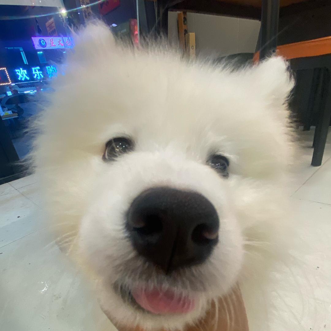 琦趣蛋