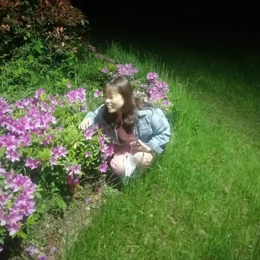 翟梅