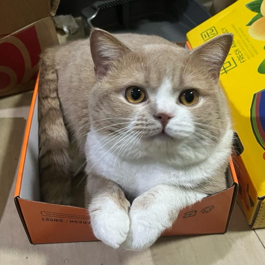 大明湖畔皇尼玛