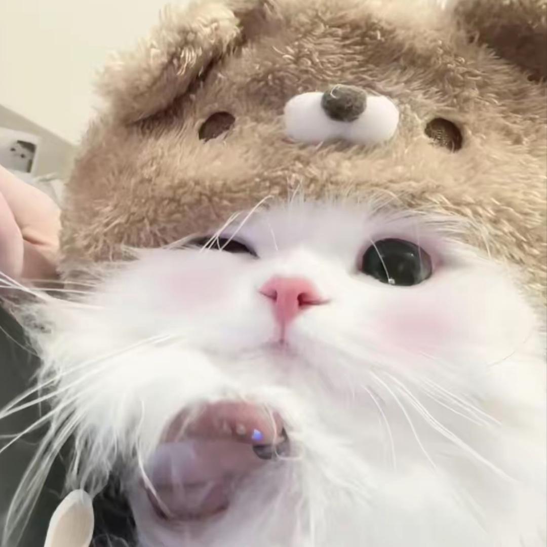 羊ovo