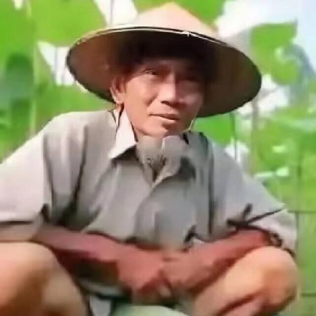 遗忘之湖🌙