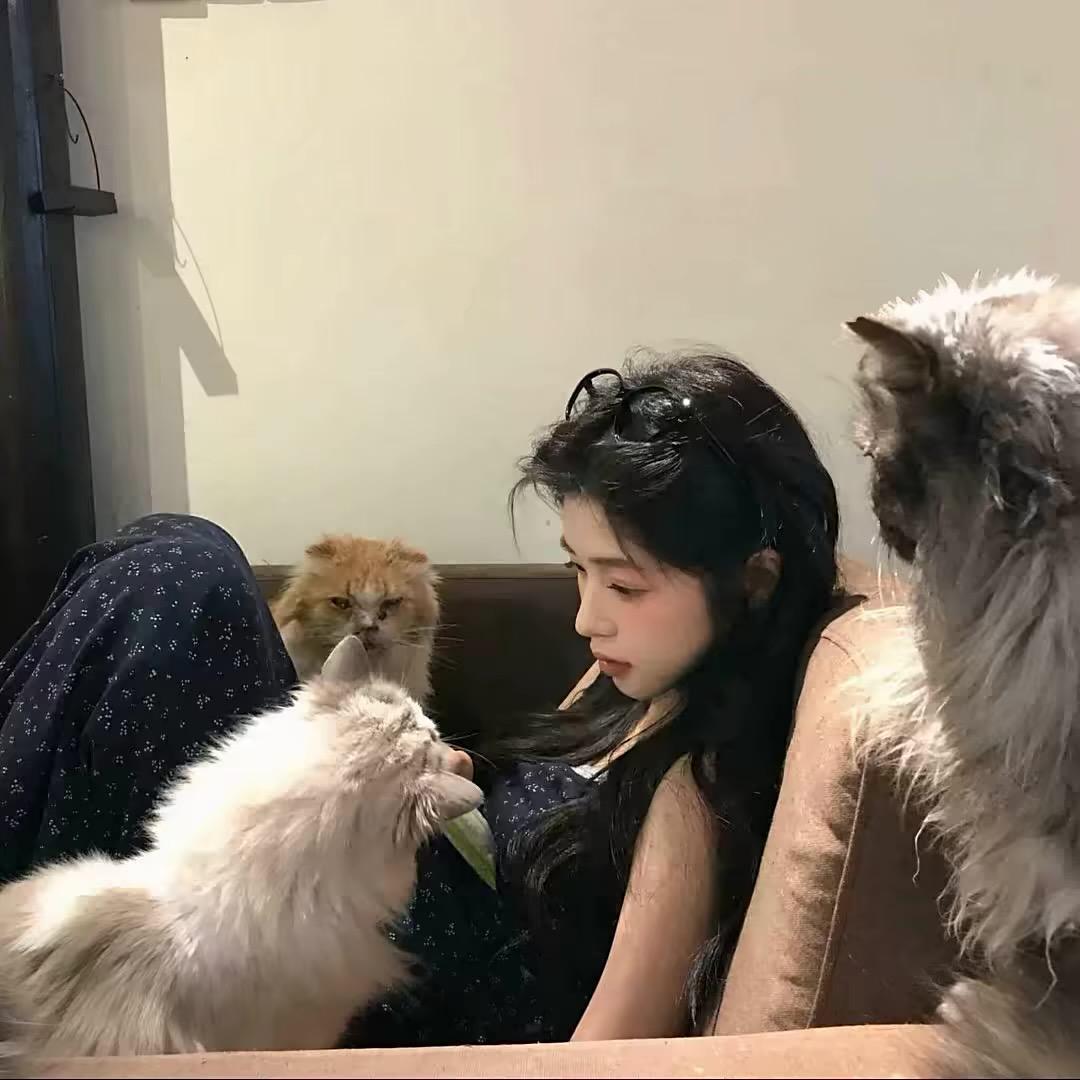 睡个好觉💤