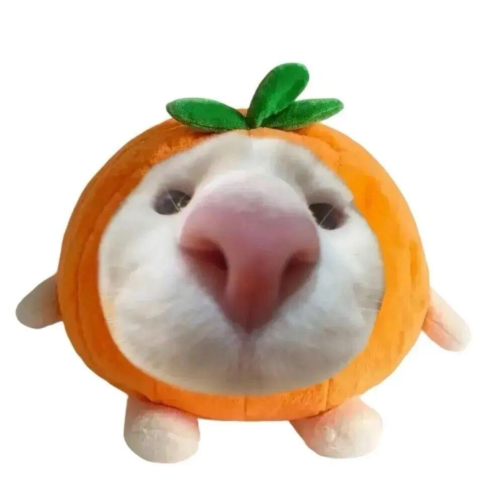 什么冰糖葫芦？