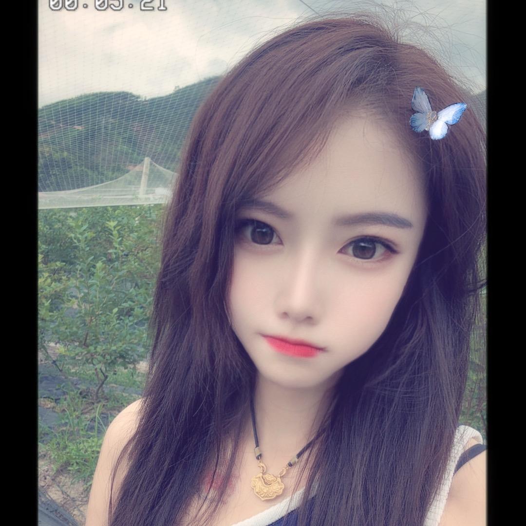 🐻🐻🐻♡̶树上有只熊ˡᵃ