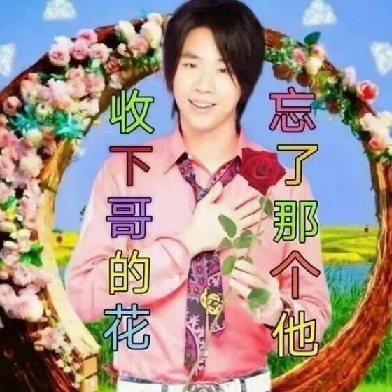 野麦疯长（拒绝❌内耗！积极向上✅）