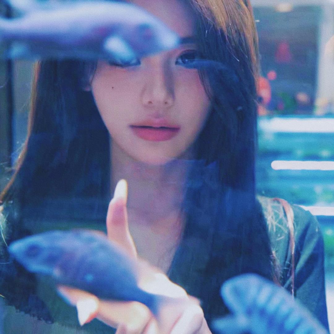 泡泡