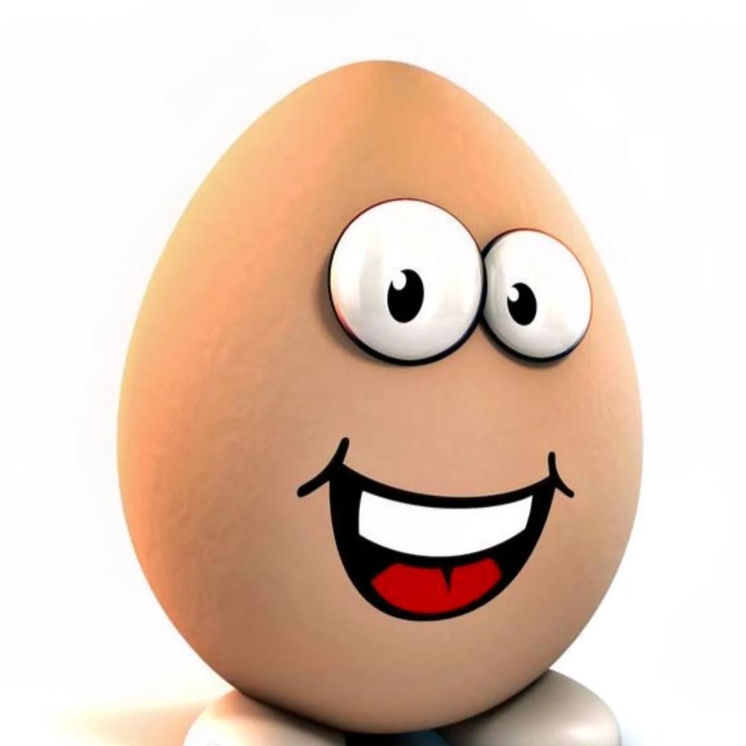 蛋蛋
