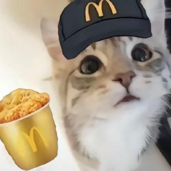 🍟