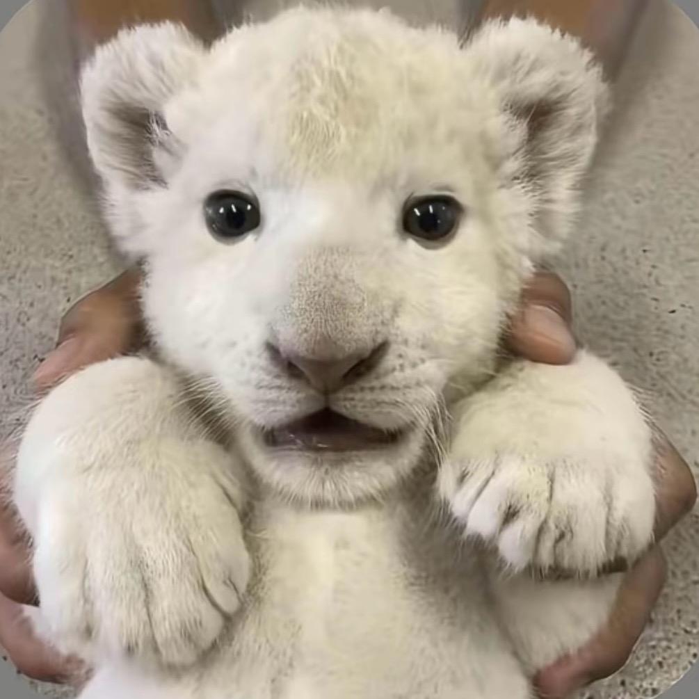 博子￴ ￴ ￴ ￴￴ ￴ ￴