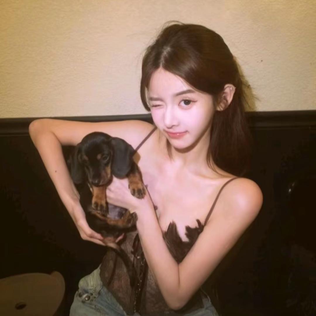 帅到你我很抱歉