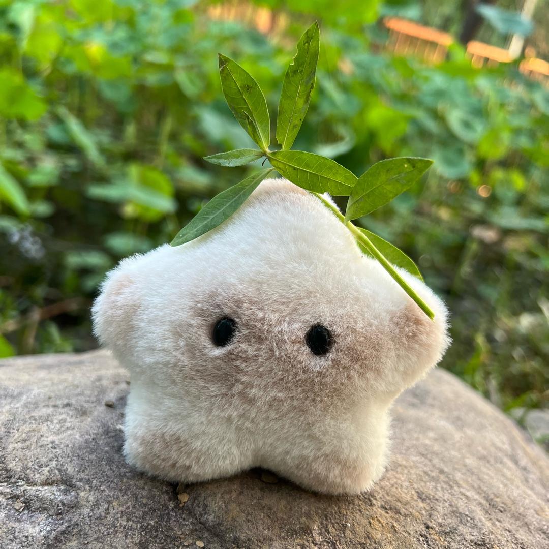 冰冰新人直播交个朋友