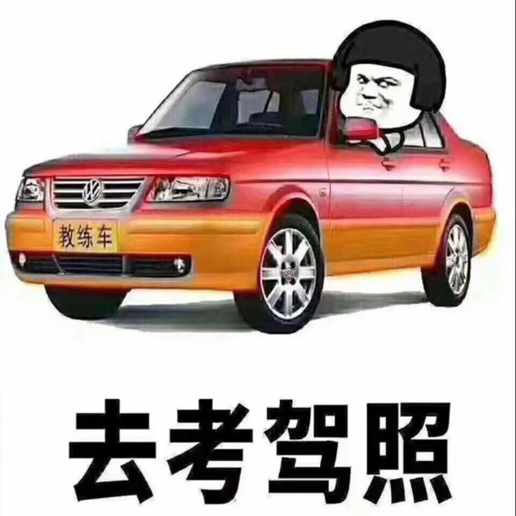 驾培信息咨询服务