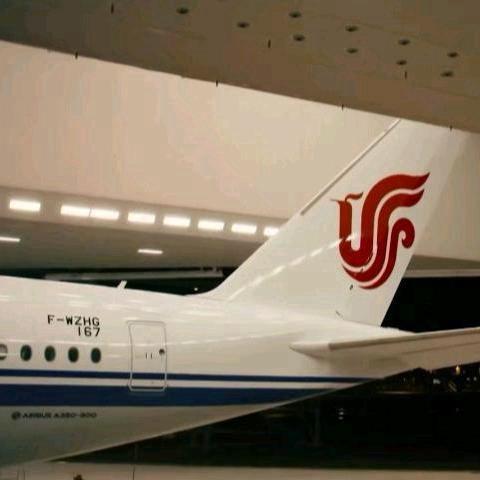 一只在线的憨憨✈️