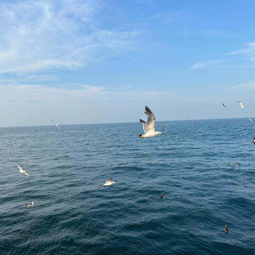 -海阔天空-