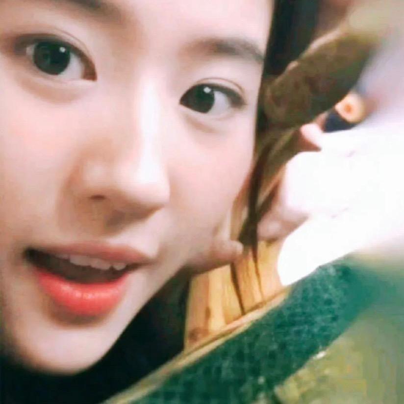 理工刘亦菲