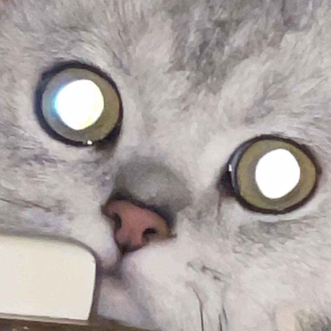 朋友圈@